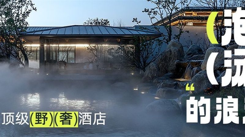 邮轮旅游：揭秘邮轮公司的分类与品牌选择