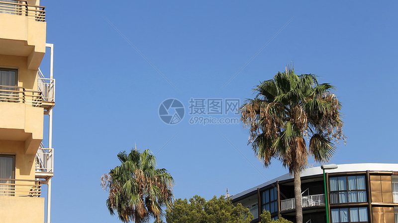 冬令营加盟代理招商政策